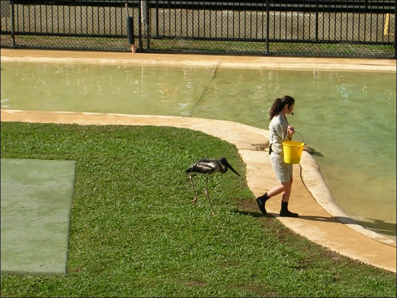 DSCN0575.JPG