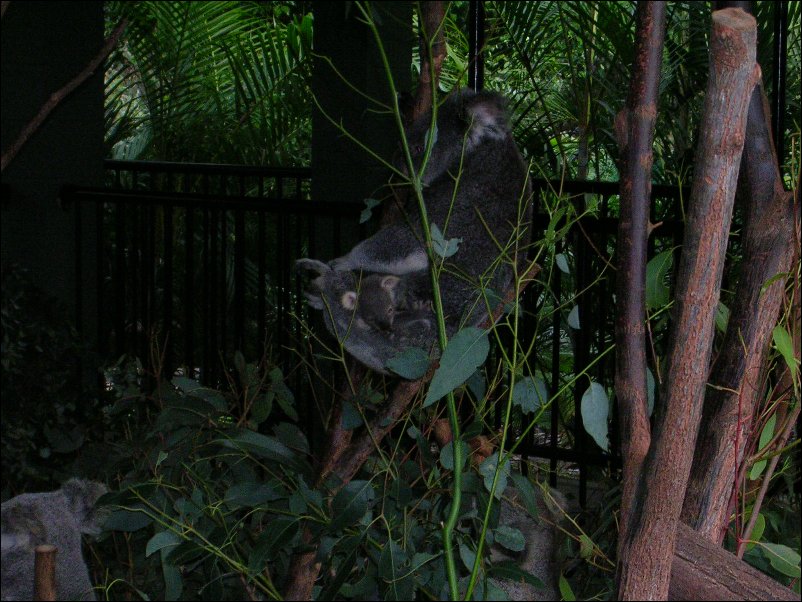 DSCN0595.JPG