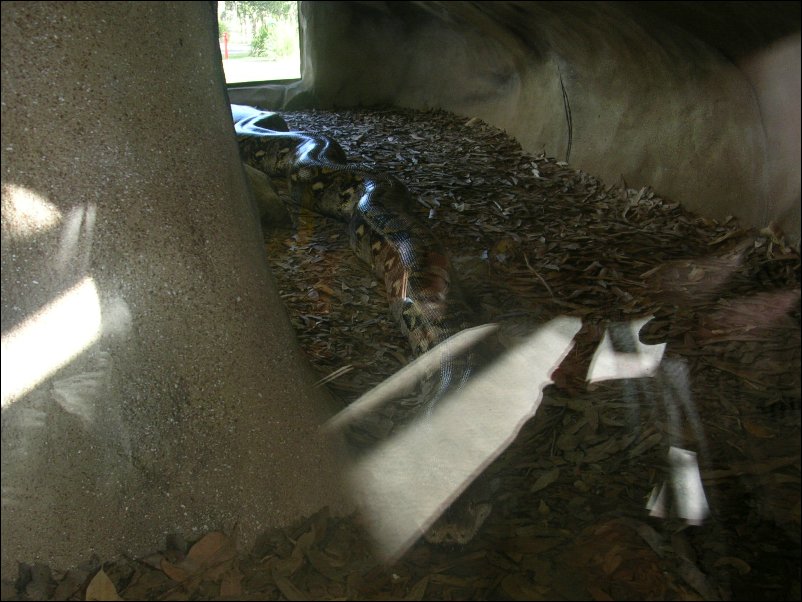 DSCN0615.JPG