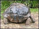 DSCN0533.JPG