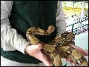 DSCN0549.JPG