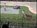 DSCN0551.JPG