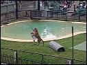 DSCN0552.MOV
