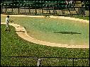 DSCN0580.JPG