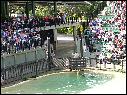 DSCN0585.JPG