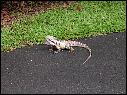 DSCN0591.JPG