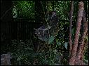 DSCN0595.JPG