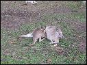 DSCN0608.JPG