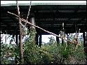 DSCN0616.JPG