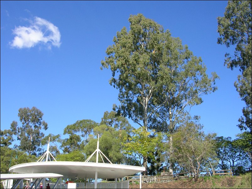 DSCN0648.JPG