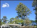 DSCN0648.JPG