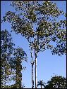 DSCN0651.JPG