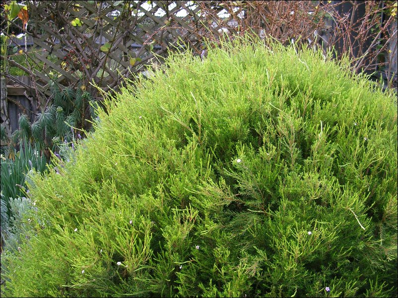 DSCN0918.JPG