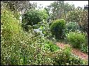 DSCN0915.JPG