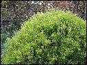 DSCN0918.JPG