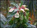 DSCN0920.JPG