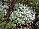 DSCN0927.JPG