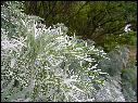 DSCN0928.JPG
