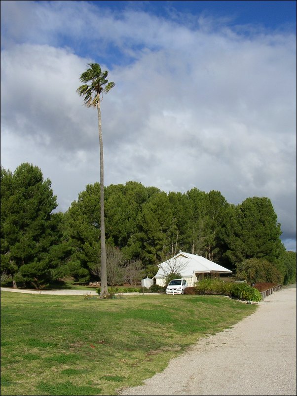 DSCN0869.JPG