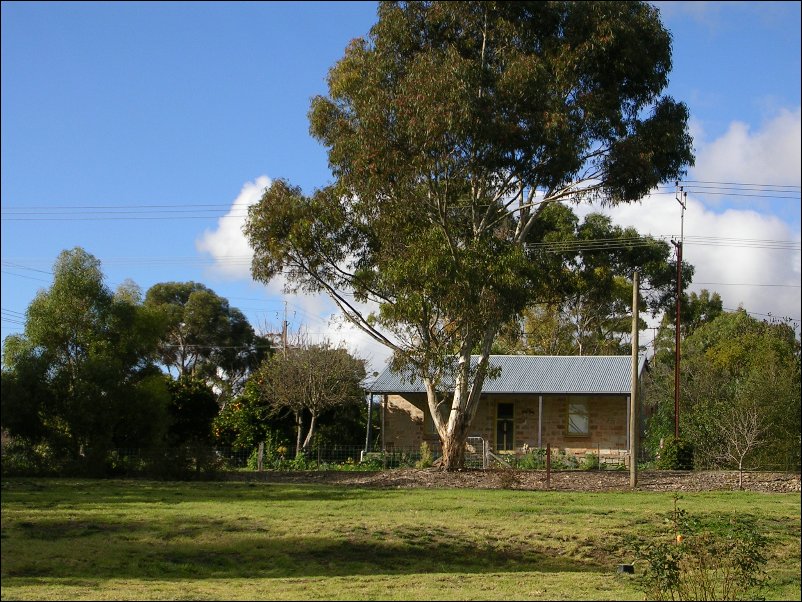 DSCN0871.JPG