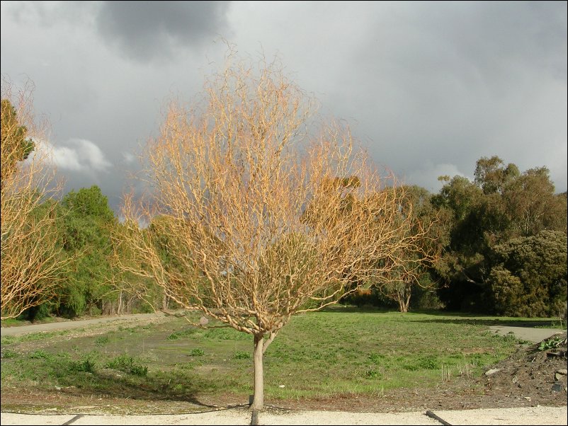 DSCN0873.JPG