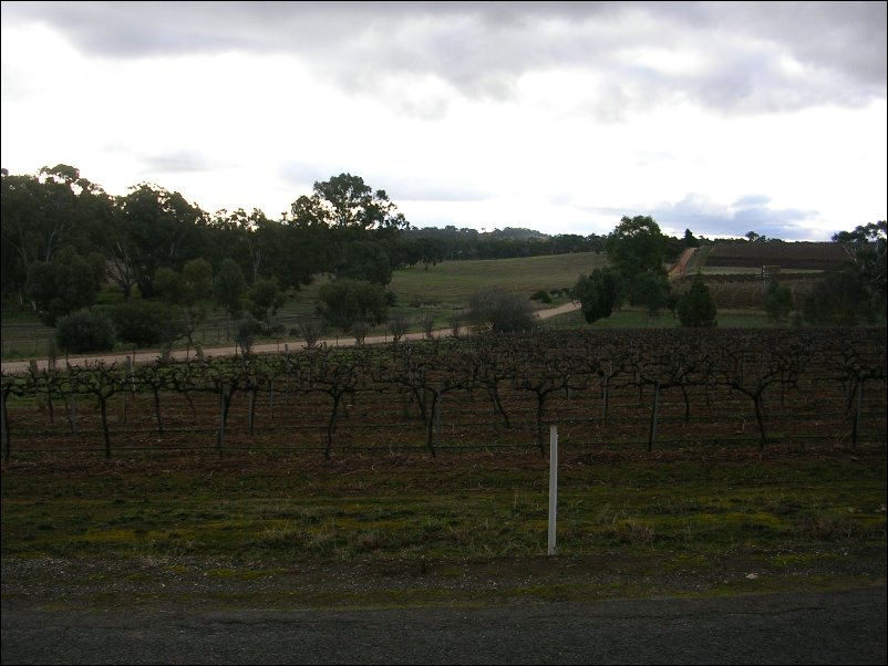 DSCN0947.JPG