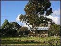 DSCN0871.JPG
