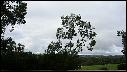 Dscn0938.jpg
