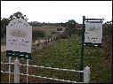 DSCN0945.JPG