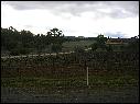 DSCN0947.JPG