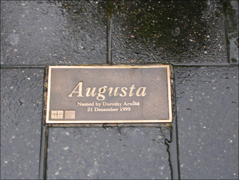 DSCN0994.JPG