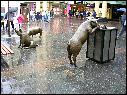 DSCN0995.JPG