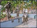 DSCN0804.JPG