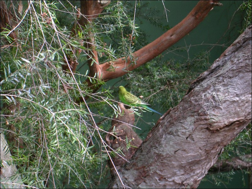 DSCN0750.JPG