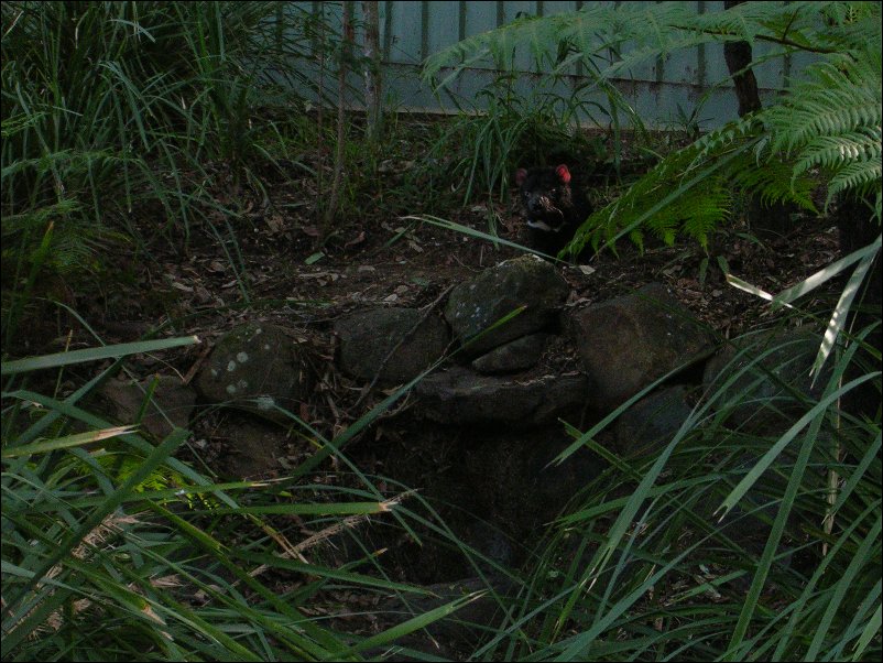 DSCN0770.JPG