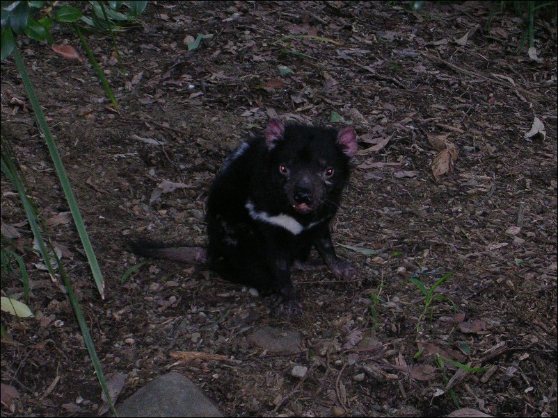 DSCN0772.JPG