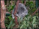 DSCN0749.JPG