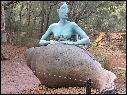 DSCN0758.JPG