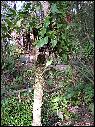 DSCN0760.JPG