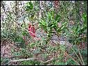 DSCN0761.JPG