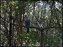 DSCN0763.JPG