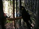 DSCN0764.JPG