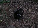 DSCN0772.JPG