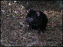 DSCN0773.JPG