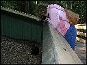 DSCN0774.JPG