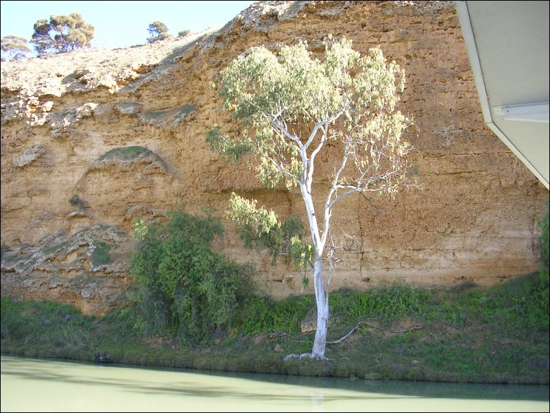 DSCN1327.JPG
