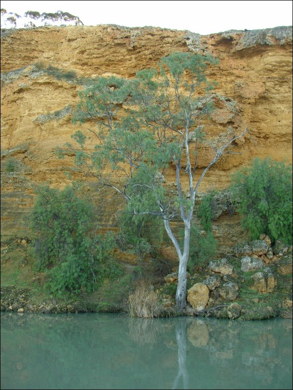 DSCN1354.JPG