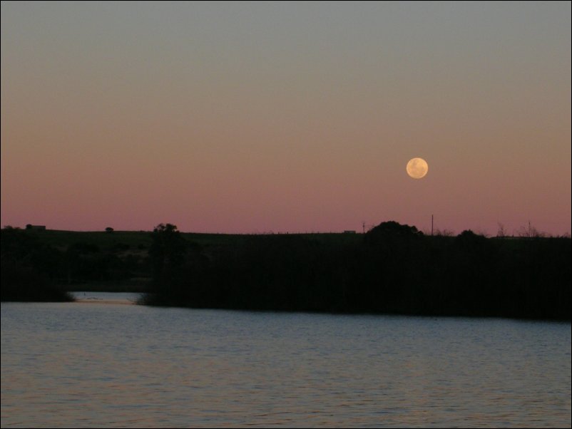 DSCN1402.JPG
