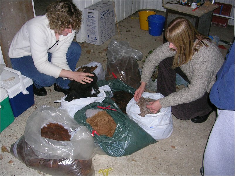 DSCN1436.JPG