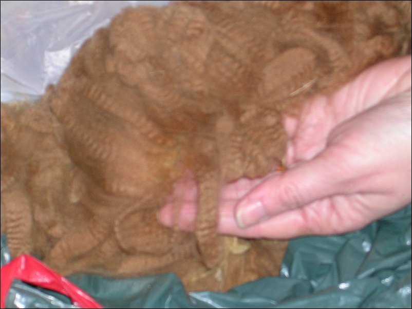 DSCN1437.JPG